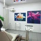 Unternehmen 4 Bild ZAHNÄRZTE DR. S. MICHL, DR. J. SCHÖN, DR. D. ADOLPH Ärzte am München BY