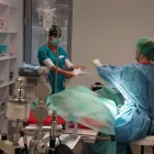 Unternehmen 3 Bild ZENTRUM FÜR KLEINTIERMEDIZIN MÜNCHEN Ärzte am München BY