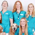 Unternehmen 6 Bild ZENTRUM FÜR KLEINTIERMEDIZIN MÜNCHEN Ärzte am München BY