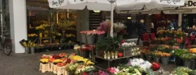 Unternehmen 2 Bild A+A BLUMEN MEISTER GMBH Produktion und Vertrieb von Pflanzen am Frankfurt Am Main HE