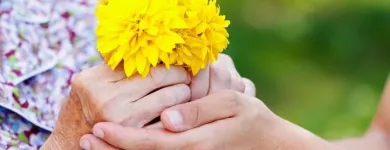 Unternehmen 1 Bild AKTIV PFLEGE 24 GMBH Soziales & Gesellschaft am Schönefeld BB