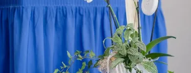 Unternehmen 9 Bild BLAUART TAGUNGSHAUS E.K. Veranstaltungen & Messen am Potsdam BB