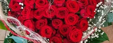 Unternehmen 8 Bild BLUMEN CALISKAN GBR Produktion und Vertrieb von Pflanzen am Frankfurt Am Main HE