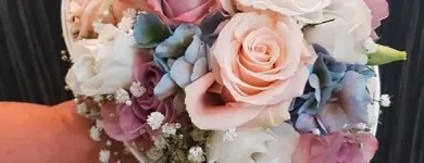 Unternehmen 18 Bild BLUMEN CALISKAN GBR Produktion und Vertrieb von Pflanzen am Frankfurt Am Main HE