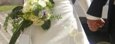 Unternehmen 9 Bild BLUMEN HAEDI-FLOR MEISTERBETRIEB LEIPZIG Produktion und Vertrieb von Pflanzen am Leipzig SN