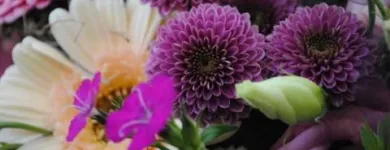 Unternehmen 12 Bild BLUMEN HAEDI-FLOR MEISTERBETRIEB LEIPZIG Produktion und Vertrieb von Pflanzen am Leipzig SN