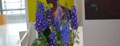 Unternehmen 15 Bild BLUMEN HAEDI-FLOR MEISTERBETRIEB LEIPZIG Produktion und Vertrieb von Pflanzen am Leipzig SN