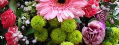 Unternehmen 1 Bild BLUMEN HAEDI-FLOR MEISTERBETRIEB LEIPZIG Produktion und Vertrieb von Pflanzen am Leipzig SN