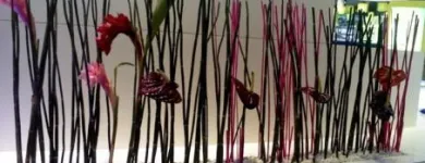 Unternehmen 2 Bild BLUMEN HAEDI-FLOR MEISTERBETRIEB LEIPZIG Produktion und Vertrieb von Pflanzen am Leipzig SN