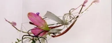 Unternehmen 3 Bild BLUMEN HAEDI-FLOR MEISTERBETRIEB LEIPZIG Produktion und Vertrieb von Pflanzen am Leipzig SN