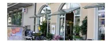 Unternehmen 2 Bild BLUMEN MAAß Produktion und Vertrieb von Pflanzen am München BY