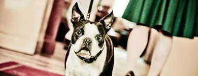 Unternehmen 1 Bild CAFÉ EINSTEIN - STAMMHAUS Restaurant & Café am Berlin BE