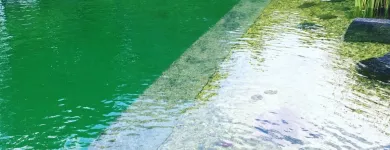 Unternehmen 5 Bild DIE TEICHREINIGER Gartenbauunternehmen, Landschaftsbauunternehmen am Erlangen BY
