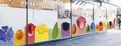 Unternehmen 2 Bild DM-DROGERIE MARKT Produktion und Vertrieb von Kosmetik, Körperpflegeartikel am München BY