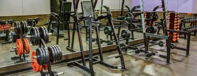 Unternehmen 8 Bild FITX FITNESSSTUDIO Yogaschulen, Gymnastikschulen am Münster NW