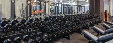 Unternehmen 12 Bild FITX FITNESSSTUDIO Yogaschulen, Gymnastikschulen am Leipzig SN