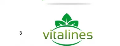 Unternehmen 1 Bild FLYER - ENTWERFEN - GRAFIKDESIGN| FLYER DESIGN BERLIN Werbung am Berlin BE