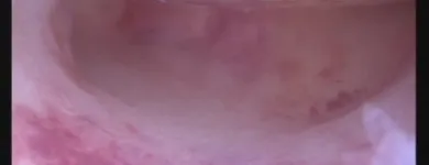 Unternehmen 1 Bild FRAUENARZTPRAXIS AM POTSDAMER PLATZ BERLIN Ärzte am Berlin BE