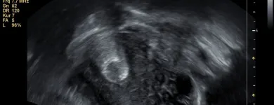 Unternehmen 9 Bild FRAUENARZTPRAXIS DR. STROTH - NATALIA EGOROVA Ärzte am Berlin BE