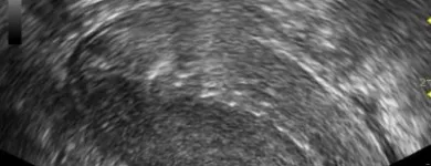 Unternehmen 16 Bild FRAUENARZTPRAXIS DR. STROTH - NATALIA EGOROVA Ärzte am Berlin BE