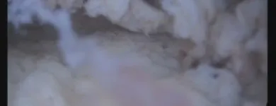 Unternehmen 17 Bild FRAUENARZTPRAXIS DR. STROTH - NATALIA EGOROVA Ärzte am Berlin BE