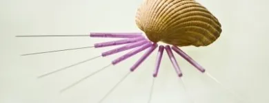 Unternehmen 3 Bild FRAUENARZTPRAXIS DR. STROTH - NATALIA EGOROVA Ärzte am Berlin BE