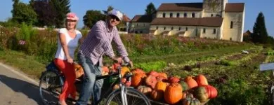 Unternehmen 1 Bild FREIZEITCENTER REICHENAU - BOOTS-, SUP- & FAHRRAD-VERLEIH - SCHULKLASSEN- & GRUPPENAUSFLÜGE Verleihunternehmen, Vermietungsunternehmen, Vermittlungsunternehmen am Reichenau BW