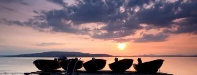 Unternehmen 17 Bild FREIZEITCENTER REICHENAU - BOOTS-, SUP- & FAHRRAD-VERLEIH - SCHULKLASSEN- & GRUPPENAUSFLÜGE Verleihunternehmen, Vermietungsunternehmen, Vermittlungsunternehmen am Reichenau BW
