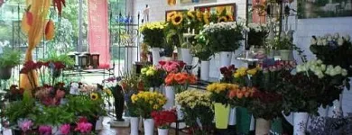 Unternehmen 3 Bild FRIEDHOFSGÄRTNEREI UND BLUMENGESCHÄFT WIETING Soziales & Gesellschaft am Bremen HB