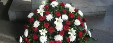 Unternehmen 6 Bild FRIEDHOFSGÄRTNEREI UND BLUMENGESCHÄFT WIETING Soziales & Gesellschaft am Bremen HB