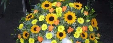 Unternehmen 8 Bild FRIEDHOFSGÄRTNEREI UND BLUMENGESCHÄFT WIETING Soziales & Gesellschaft am Bremen HB