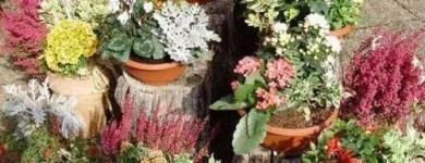 Unternehmen 1 Bild FRIEDHOFSGÄRTNEREI UND BLUMENGESCHÄFT WIETING Soziales & Gesellschaft am Bremen HB