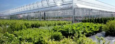 Unternehmen 9 Bild GARTENCENTER SEEBAUER Produktion und Vertrieb von Pflanzen am München BY