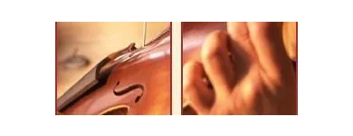 Unternehmen 3 Bild GEIGENBAU REISER - GEIGEN - MÜNCHEN Musikinstrumente Einzelhandel am München BY