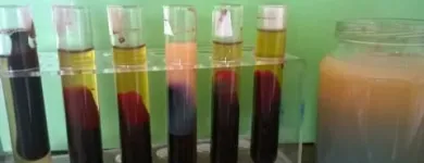 Unternehmen 2 Bild HEILPRAXIS NACH HILDEGARD VON BINGEN DANIELA DUMANN HEILPRAKTIKERIN Ärzte am Berlin BE