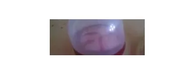 Unternehmen 3 Bild HEILPRAXIS NACH HILDEGARD VON BINGEN DANIELA DUMANN HEILPRAKTIKERIN Ärzte am Berlin BE