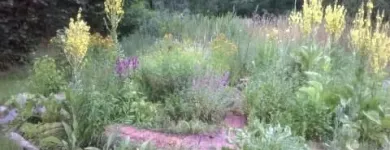 Unternehmen 1 Bild HEILPRAXIS NACH HILDEGARD VON BINGEN DANIELA DUMANN HEILPRAKTIKERIN Ärzte am Berlin BE