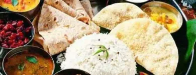 Unternehmen 42 Bild INDIAN PALACE Vegetarische Restaurants am Leipzig SN