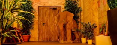 Unternehmen 11 Bild INDIAN PALACE Vegetarische Restaurants am Leipzig SN