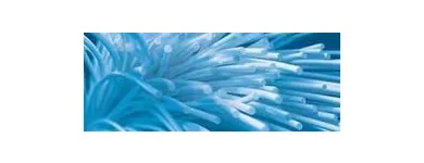 Unternehmen 6 Bild KEBOS GROUP Service & Dienstleistung am München BY