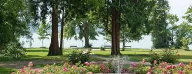 Unternehmen 3 Bild KWA PARKSTIFT ROSENAU Soziales & Gesellschaft am Konstanz BW