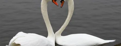 Unternehmen 11 Bild LOGOPÄDISCHE PRAXIS GERN | MÜNCHEN NYMPHENBURG Ärzte am München BY