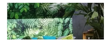 Unternehmen 6 Bild MALER STAHL Service & Dienstleistung am Bad Buchau BW