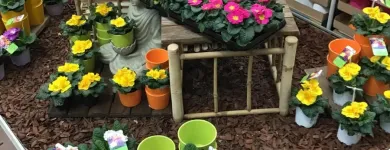 Unternehmen 11 Bild OBI MARKT ÖHRINGEN Zoohandlungen am Oehringen BW