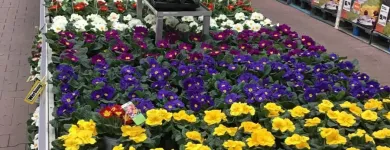Unternehmen 12 Bild OBI MARKT ÖHRINGEN Zoohandlungen am Oehringen BW