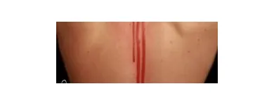 Unternehmen 1 Bild PAINFUL LOVE TATTOO Tattoostudios, Piercingstudios am Berlin BE