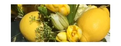 Unternehmen 7 Bild PRAXIS FÜR GANZHEITLICHE ERNÄHRUNG Ärzte am Rodgau HE