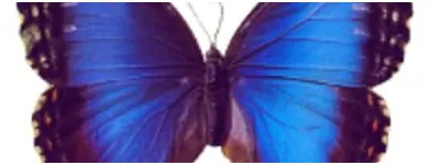 Unternehmen 18 Bild PRAXIS HARTMUT MÜNCHEN Ärzte am München BY