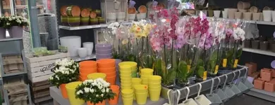 Unternehmen 2 Bild RAIFFEISEN-MARKT ROXEL Zoohandlungen am Münster NW