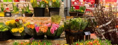 Unternehmen 2 Bild REWE MARKT PAGOULATOS IN MÜNCHEN SCHWABING-WEST Supermärkte & Discounter am München BY